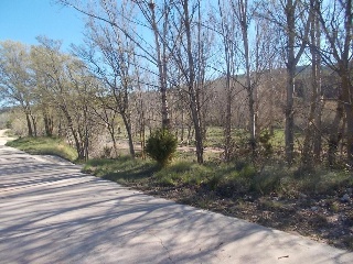 13080-0001 12