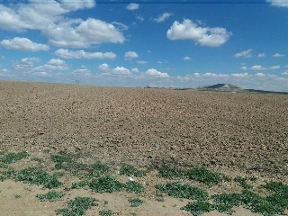 Suelos en Magán ,Toledo 29