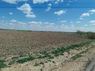 Suelos en Magán ,Toledo 31