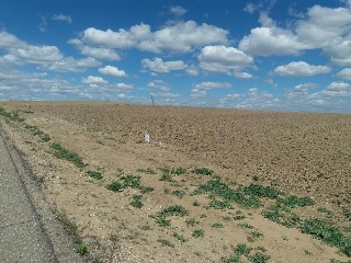 Suelos en Magán ,Toledo 32