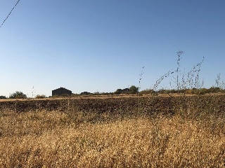 Suelo en C/ Emérita Augusta - Mérida - Badajoz 4
