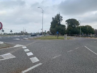 15306-0010 20