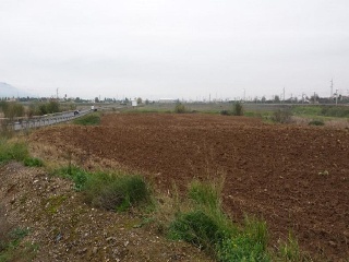 01974-0001 6