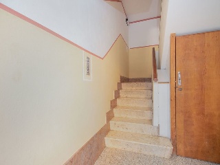 01185-0001 31