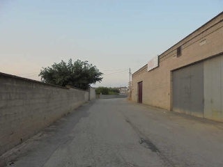 Local en Móra d´Ebre (Tarragona) 13