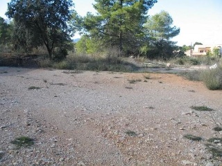01342-0001 10