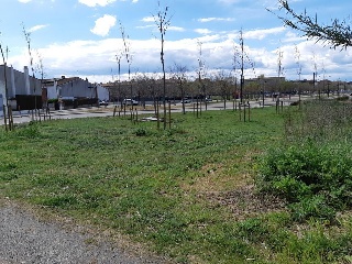 Suelo no urbanizable en Ps de Vilatenim - Figueres - Girona 12