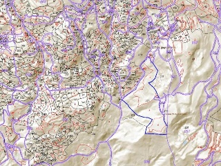 16199-0001 7