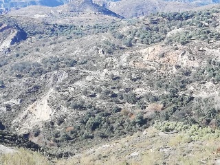 16199-0001 12