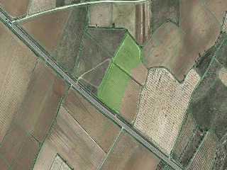 02953-0001 5