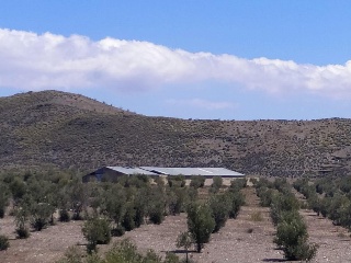 05368-0001 14