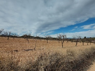 08829-0001 7