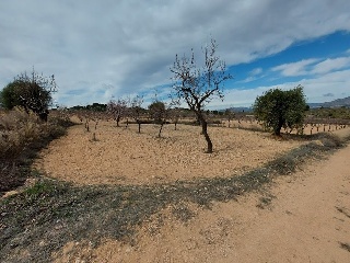 08829-0001 8