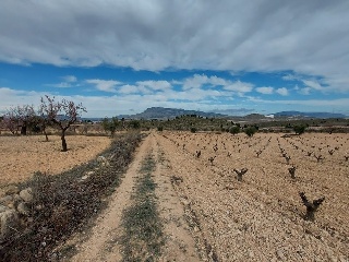 08829-0001 11