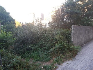17802-0001 6
