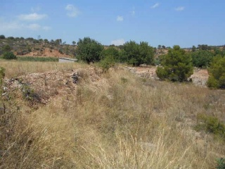 07061-0001 8