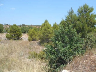 07061-0001 9