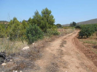 07061-0001 10
