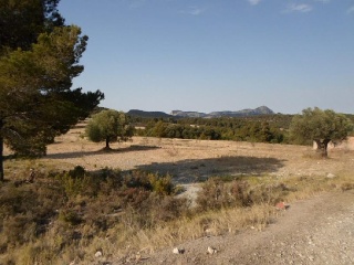 Suelo no urbanizable en Castalla (Alicante/Alacant) 6
