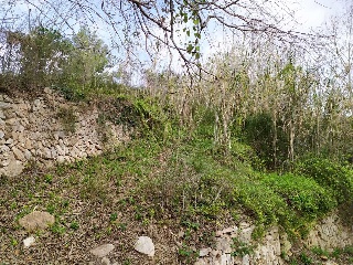 17564-0001 8