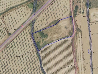 Suelos en Alfaro, La Rioja 11