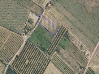 Suelos en Alfaro, La Rioja 17