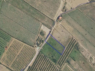 Suelos en Alfaro, La Rioja 23