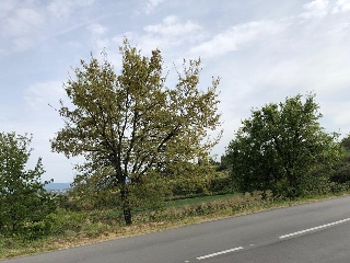07453-0001 37