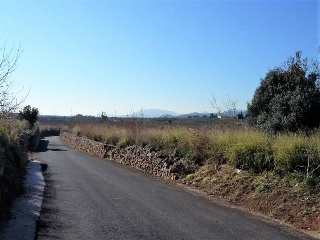03381-0001 10
