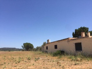 19188-0001 11