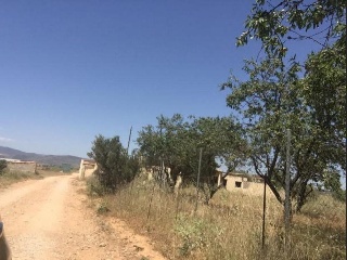 19188-0001 12