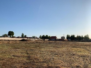 17372-0001 6
