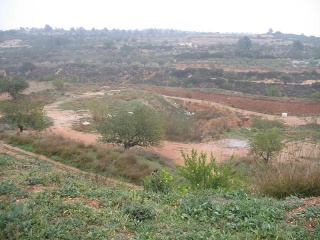 14969-0001 13