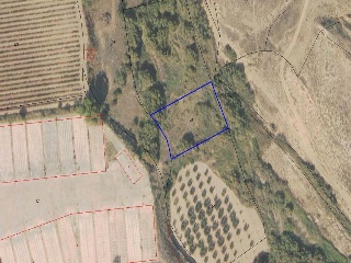 00805-0001 5