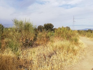 06515-0001 19