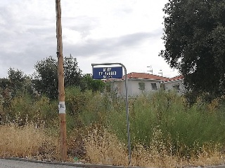 06515-0001 23