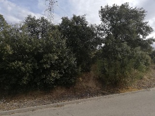 06515-0001 24