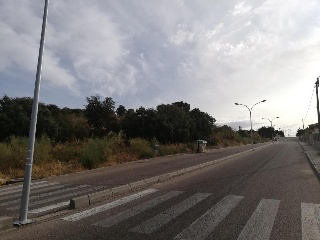 06515-0001 29
