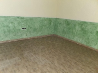 00594-0001 39