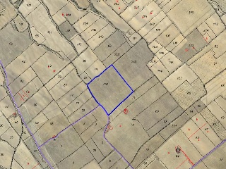 19950-0001 5