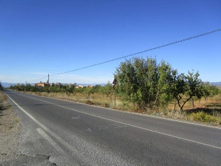 19952-0001 9