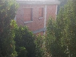 11247-0001 13
