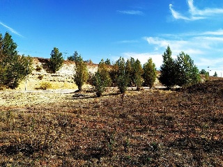 Suelos en Buniel ,Burgos 46