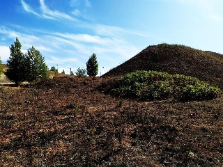 Suelos en Buniel ,Burgos 70