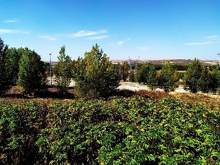 Suelos en Buniel ,Burgos 76