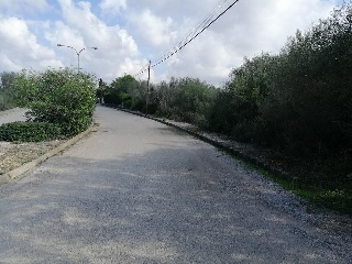 Suelo rústico en Son Gual-A 8