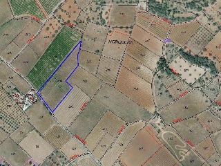 02338-0001 10