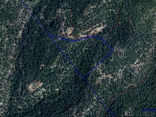 15539-0001 13