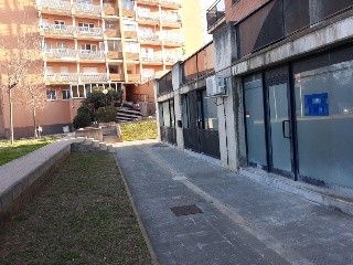 15541-0001 17