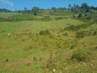 Suelo rústico en Paraje la Moñeca 9